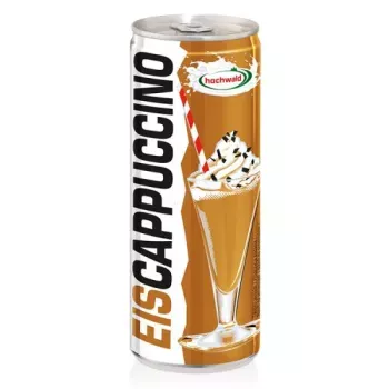 Hochwald Eis Cappucino 24x250ml